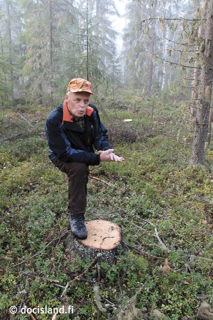 Jatkuva kasvatus - metsä hakkuun jälkeen © Ismo Tuormaa