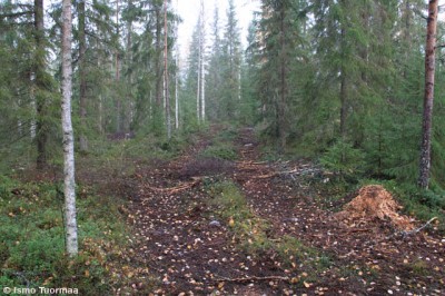 Jatkuva kasvatus – talvitie – kuva © Ismo Tuormaa